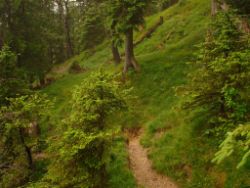 2013-06-22_Hirschhoerndl_Jochberg (231).JPG